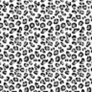 Meet your Posher, Katelyn